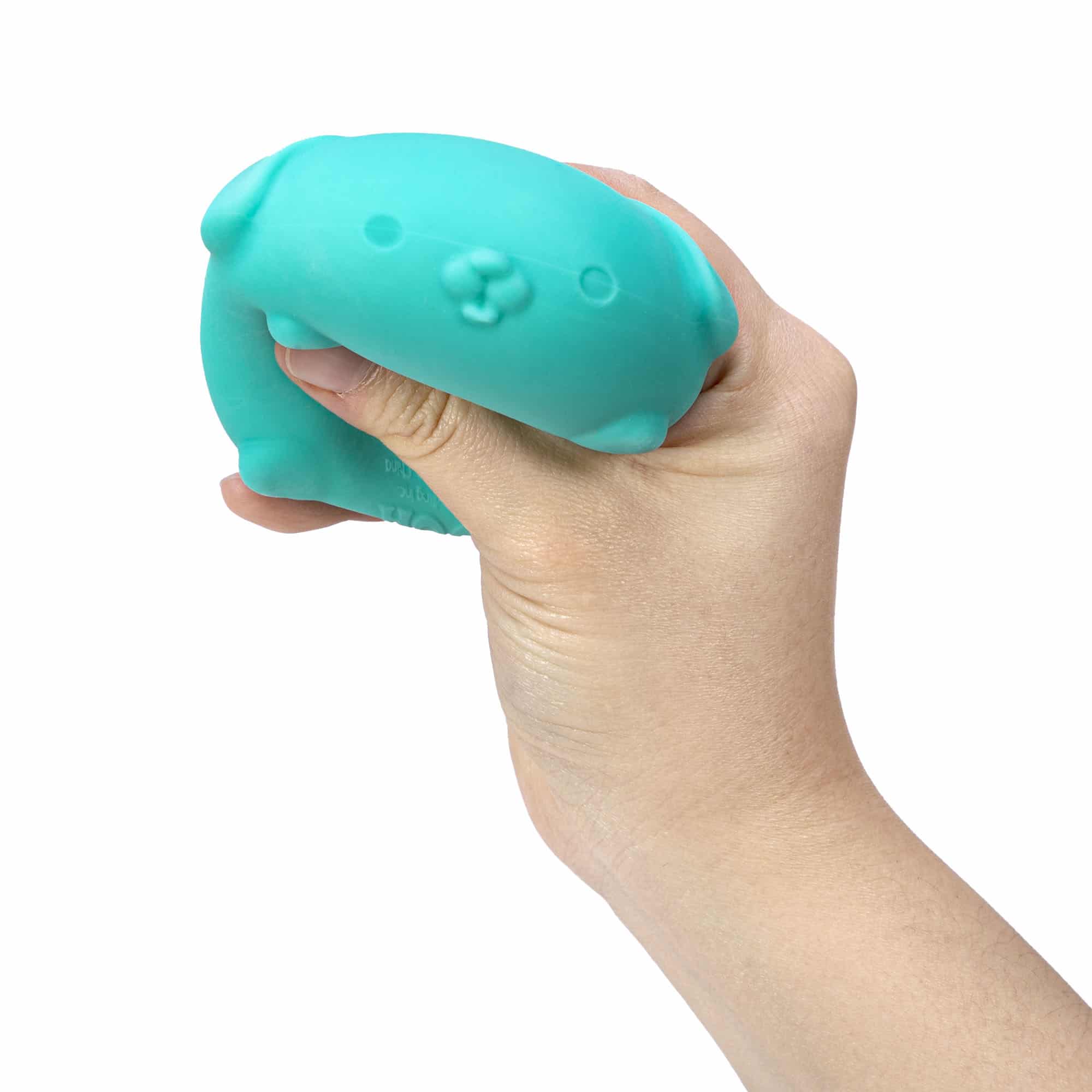 NeeDoh Funky Pup Q7 - Teal Squeezed