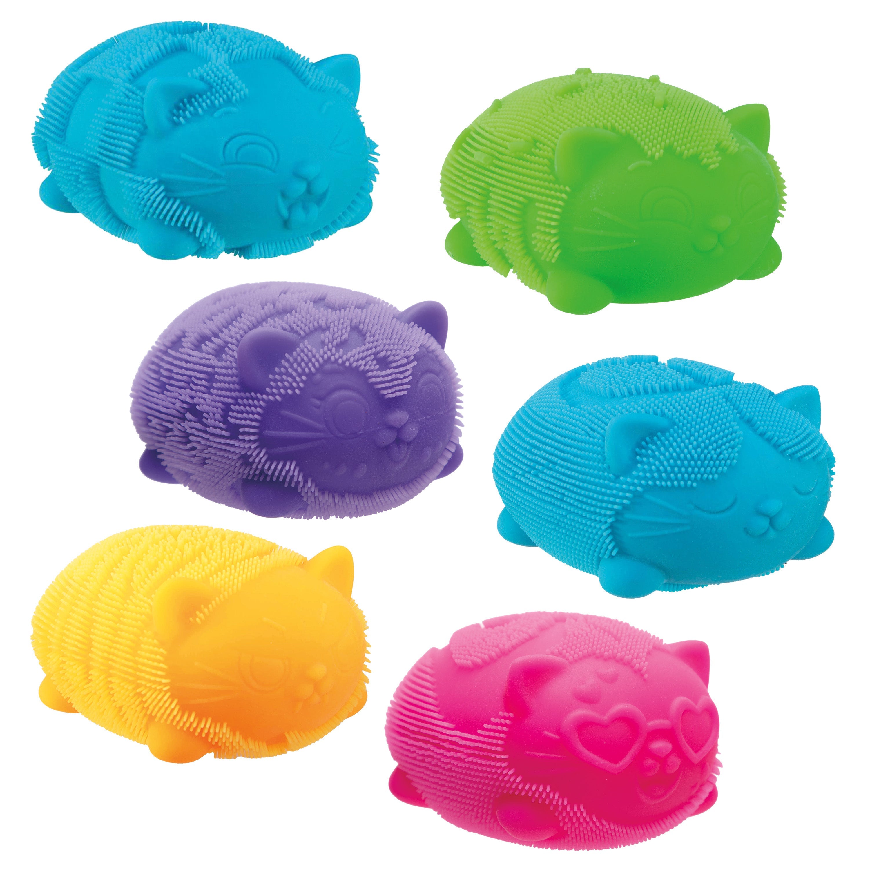 WCFZBND_Image1 copy